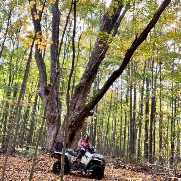 Meet your Posher, Debbie - Picture 1 of 1